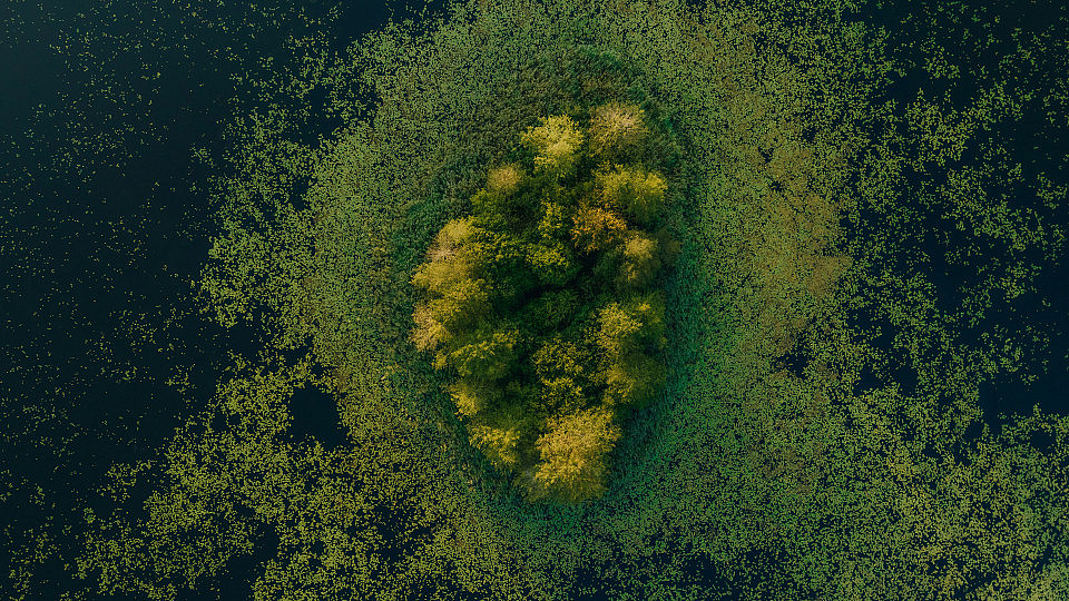 A Healthier Earth - Pure DC combatting climate change with forestry solutions